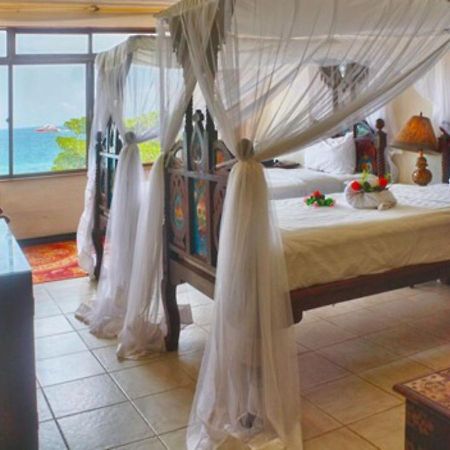 Africa House Zanzibar Bed & Breakfast Dış mekan fotoğraf